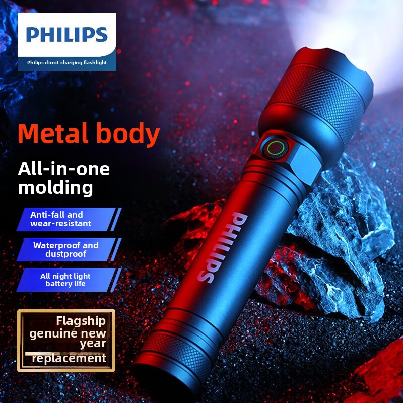 Outdoor Lighting Guide - 2025 NEW Philips SFL2188 LED Aluminum