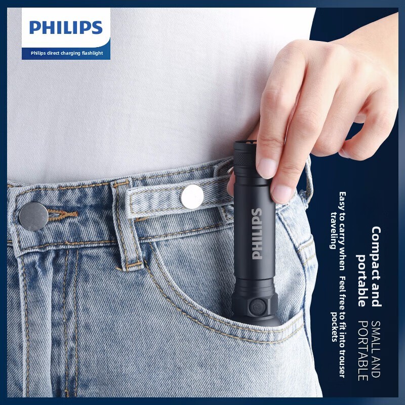 2025 NEW Philips SFL2188 LED A - Outdoor Lighting Guide review and price