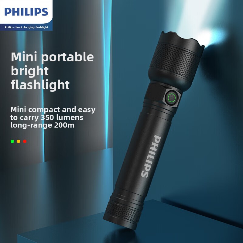 2025 NEW Philips SFL2188 LED A - Outdoor Lighting Guide review and price