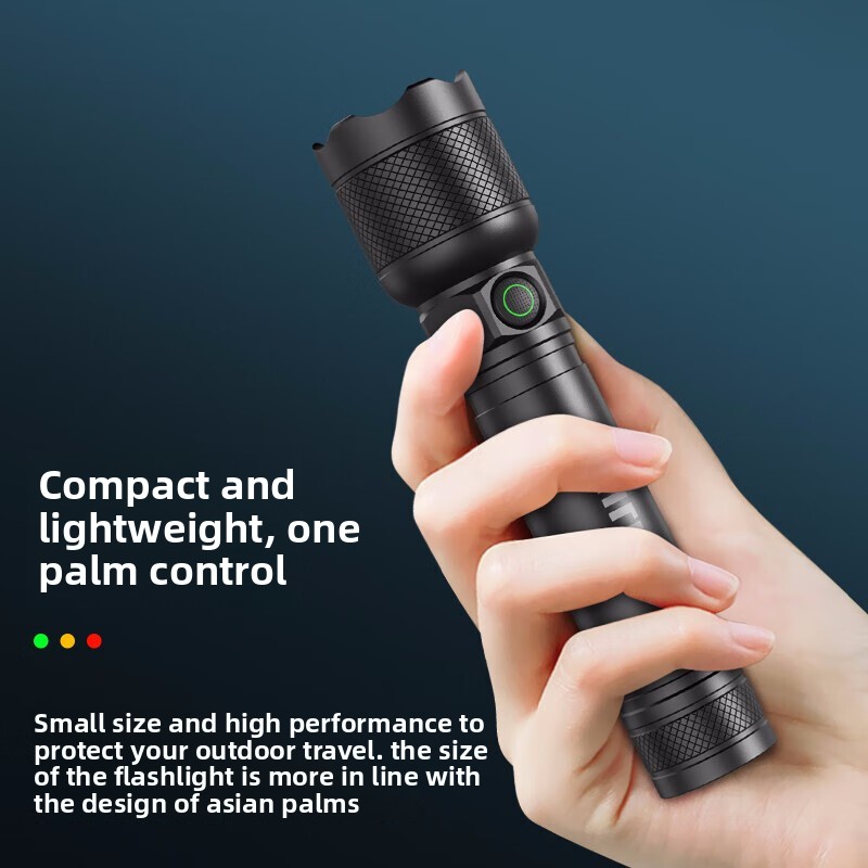 2025 NEW Philips SFL2188 LED A - Outdoor Lighting Guide review and price